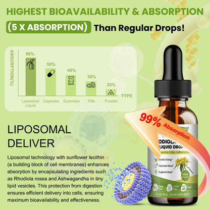 Totaria 16-in-1 Liposomal Rhodiola Rosea Supplement Tincture 1000mg, Ultra Strength Rhodiola 10:1 Root Extract w/Ashwagandha, Rhodiola Liquid Drops for Natural Relaxation, Mood, Energy, Alcohol-Free