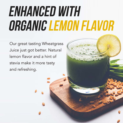 Organic Wheatgrass Juice Powder - Organic, Grown in Volcanic Soil of Utah - Raw BioActive Form, Cold-Pressed Then CO2 Dried, 20:1 Concentrate Juice Extract - Unflavored (5.3 oz – 60 Servings)