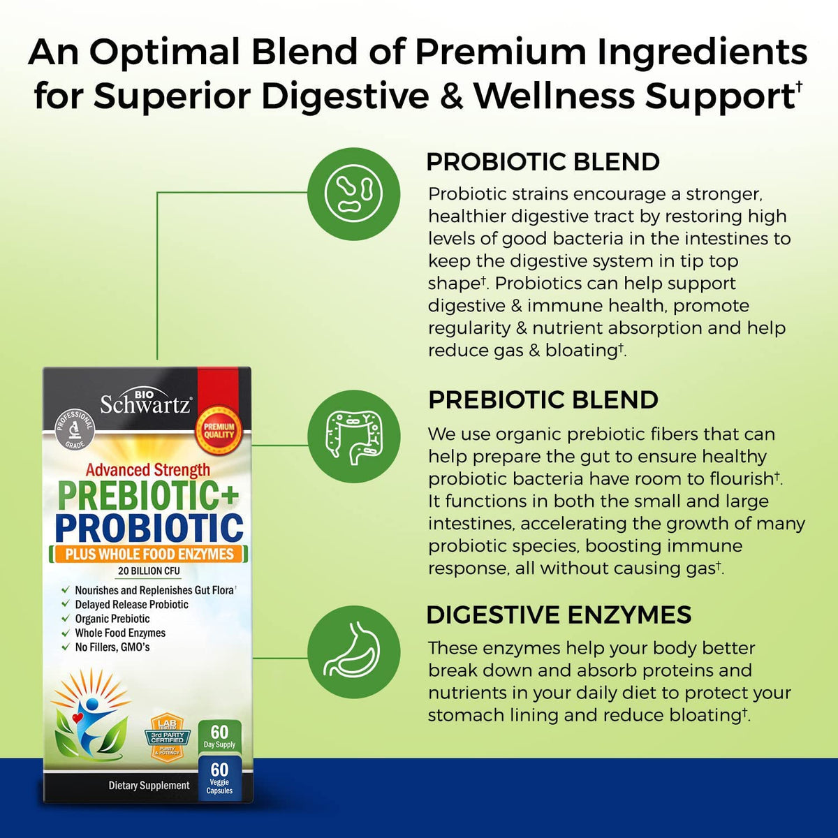 Prebiotics and Probiotic with Whole Food Enzymes for Adults Women & Men
