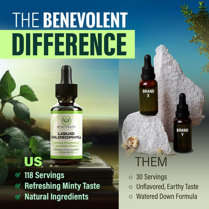 Benevolent Chlorophyll Liquid Drops & Magnesium Complex 4 Month Supply - Highly Concentrated Formula with 4X Potency for Skin Wellness and Freshness - 5 Premium Forms of Magnesium