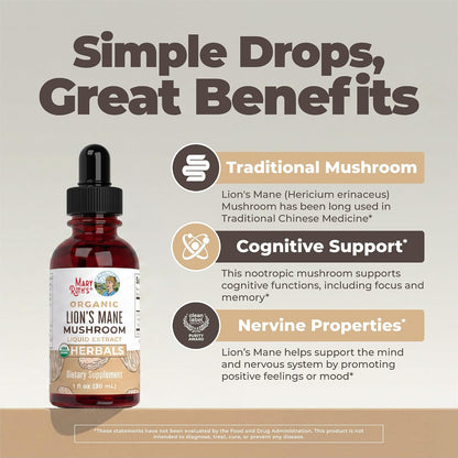 MARYRUTH'S Lions Mane Mushroom Supplement | Nootropic USDA Organic Lions Mane Extract 1,180mg | Nervine Herbal Liquid Drops | Brain Health | Focus & Memory | Non-GMO | Vegan | Alcohol Free | 1 Fl Oz