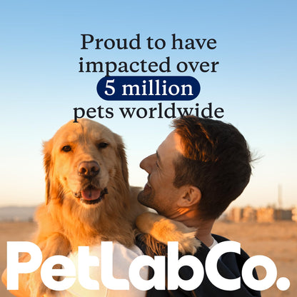 PetLab Co. DF-14 Daily Foundation Supplement for Small Dogs | Gut, Joint, Skin, Immune, Heart and Brain Support, Daily Powder, All Breeds