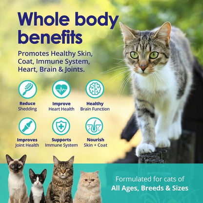 Premium Omega 3 Fish Oil for Cats - Wild Alaskan Salmon Oil Supplement for Skin and Coat - Liquid Cat Supplement for Shedding Control & Cat Dandruff (4, Fluid Ounces)