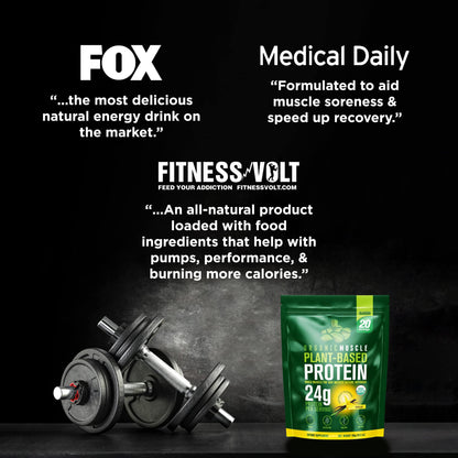 Organic Vegan Protein Powder - Plant Based Chocolate Protein Powder with Pea, Hemp
