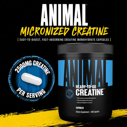 Animal Creatine Monoydrate Powder for Men & Women | Unflavored 300g