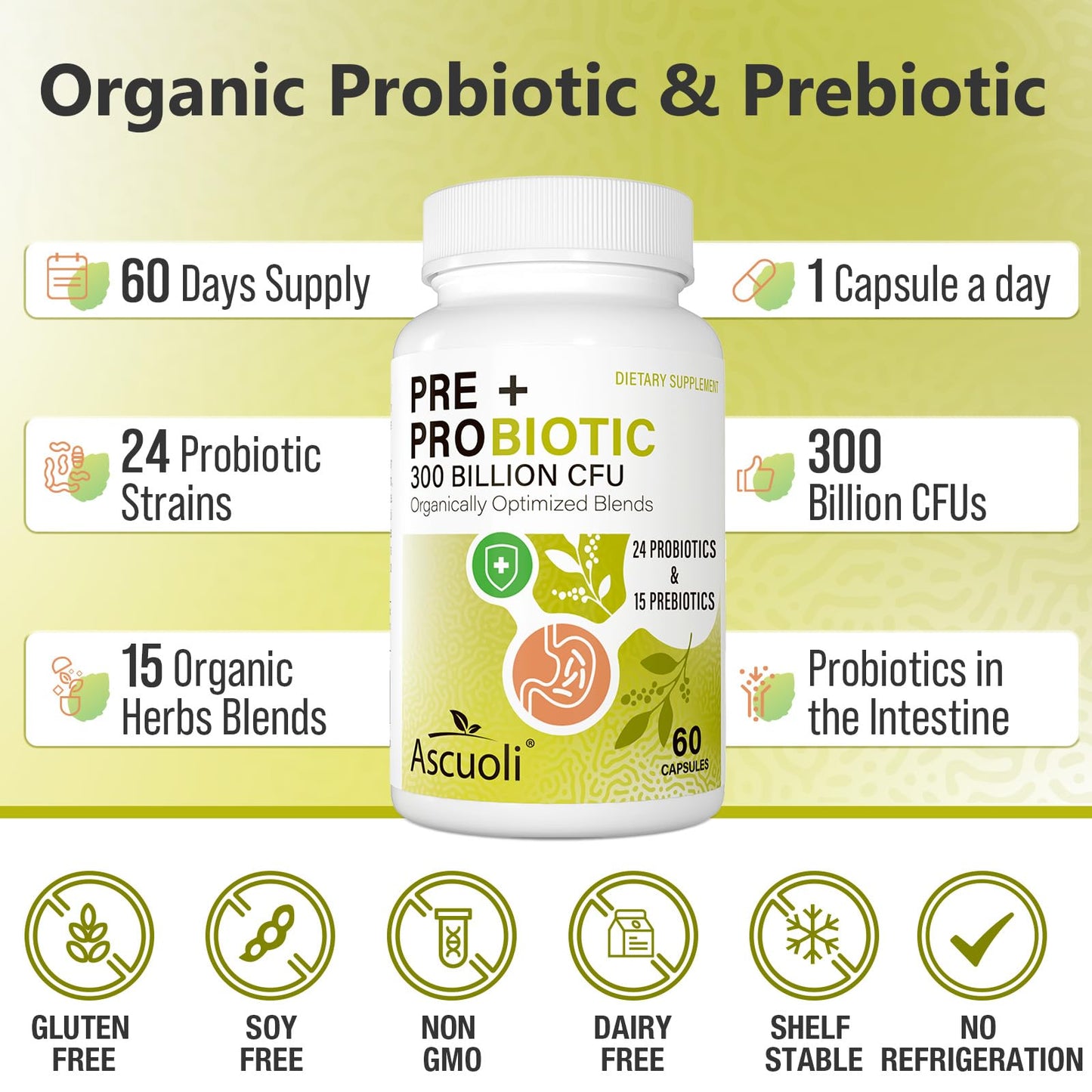 Prebiotics and Probiotics - 300 Billion CFU, 24 Probiotic+15 Herbs, 60 Caps | Probiotics for gut health, Immune & Digestive, Bloating - Probiotics for Women & Men