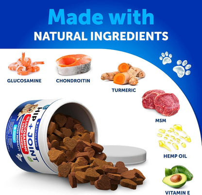 Probiotic Chews for Dogs - Supplement Bundle - Gut Health, Immunity, Yeast Balance - Glucosamine, Chondroitin, MSM