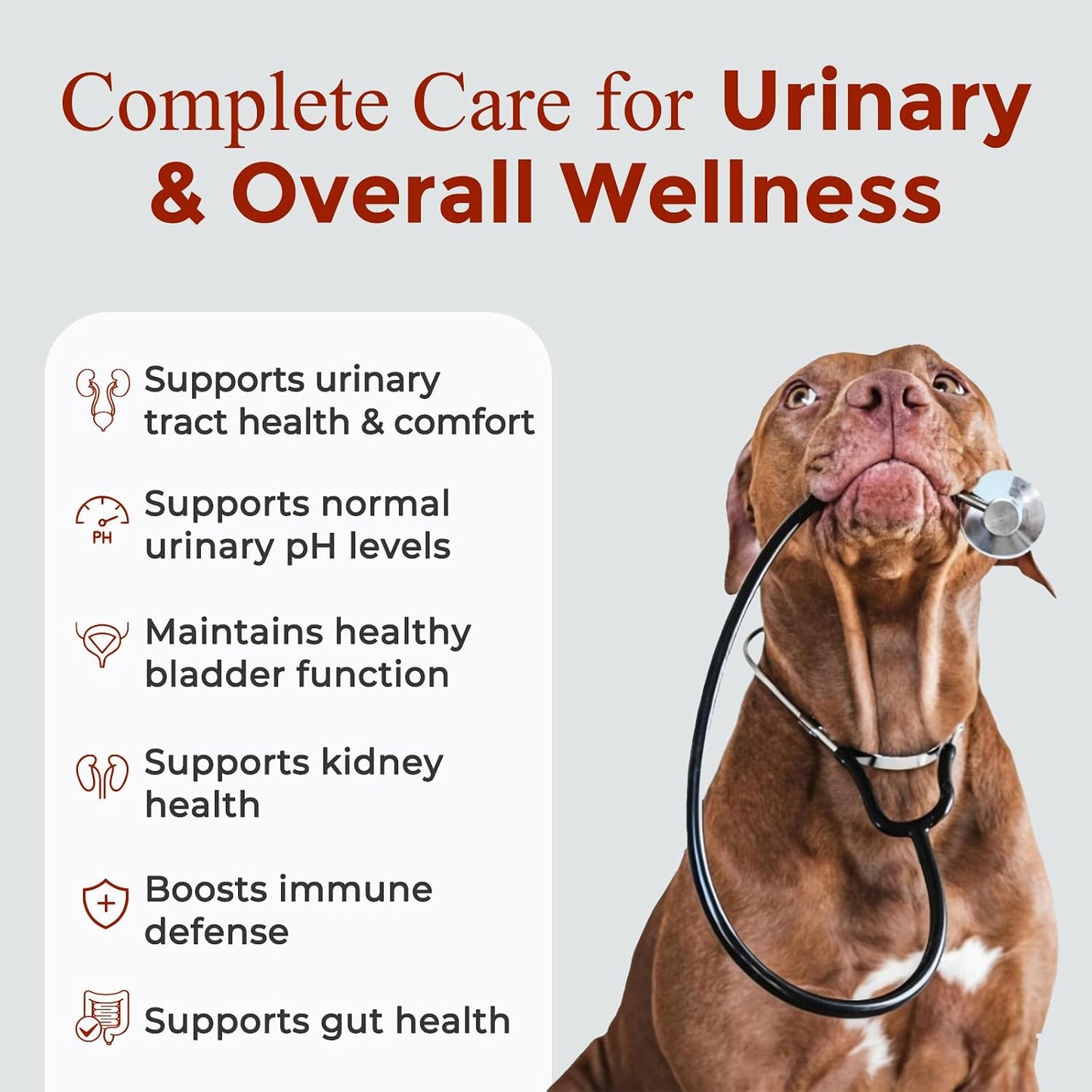NATURE TARGET Dog UTI Treatment, Cranberry Supplement for Dogs 120 Chews | Urinary Tract & Bladder Support with D-Mannose, Marshmallow, Astragalus – Vet Formulated Immune & Kidney Support – Chicken