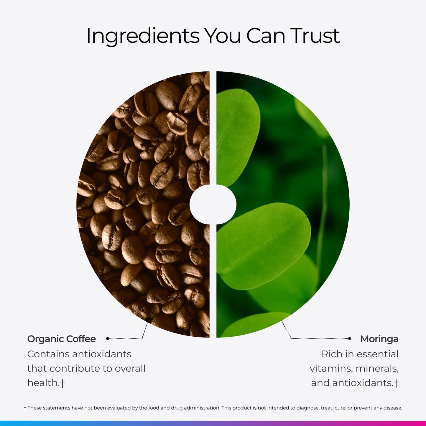 Livingood Daily Coffee with Moringa, Ground Medium Roast Coffee with Plant Based Ingredients for Morning Energy, Made with Moringa Powder, Organic, Non GMO, Vegan, Gluten Free, 20 Servings, 12 oz Bag