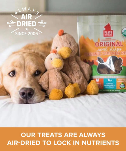 Plato Pet Treats Real Strips - Air-Dried Meat Bars for Dogs - Delicious, Limited Ingredient Dog Treats - Grain Free - Original Real Strips Turkey & Pumpkin 18oz - 2 Pack