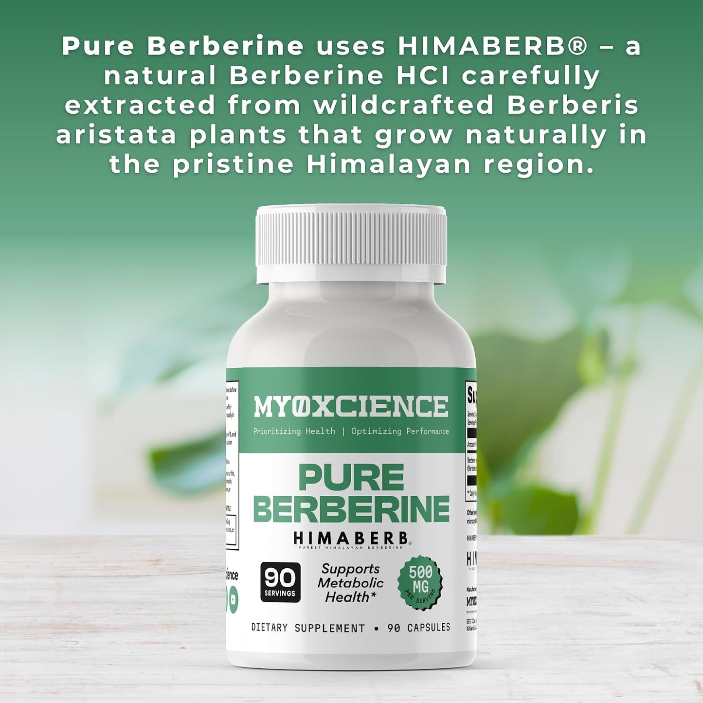 MYOXCIENCE Pure Berberine Himaberb | 500 mg of Berberine HCl per Serving | 90 Servings