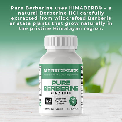 MYOXCIENCE Pure Berberine Himaberb | 500 mg of Berberine HCl per Serving | 90 Servings
