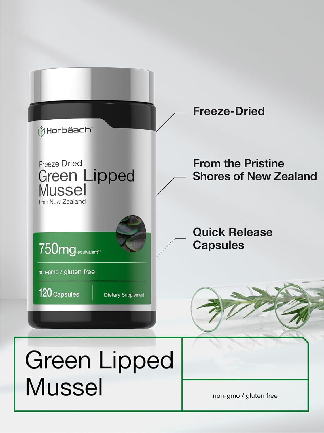 Horbäach Green Lipped Mussel |120 Capsules | from New Zealand | Premium Freeze Dried Mussel Powder | Non-GMO and Gluten Free