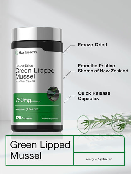 Horbäach Green Lipped Mussel |120 Capsules | from New Zealand | Premium Freeze Dried Mussel Powder | Non-GMO and Gluten Free