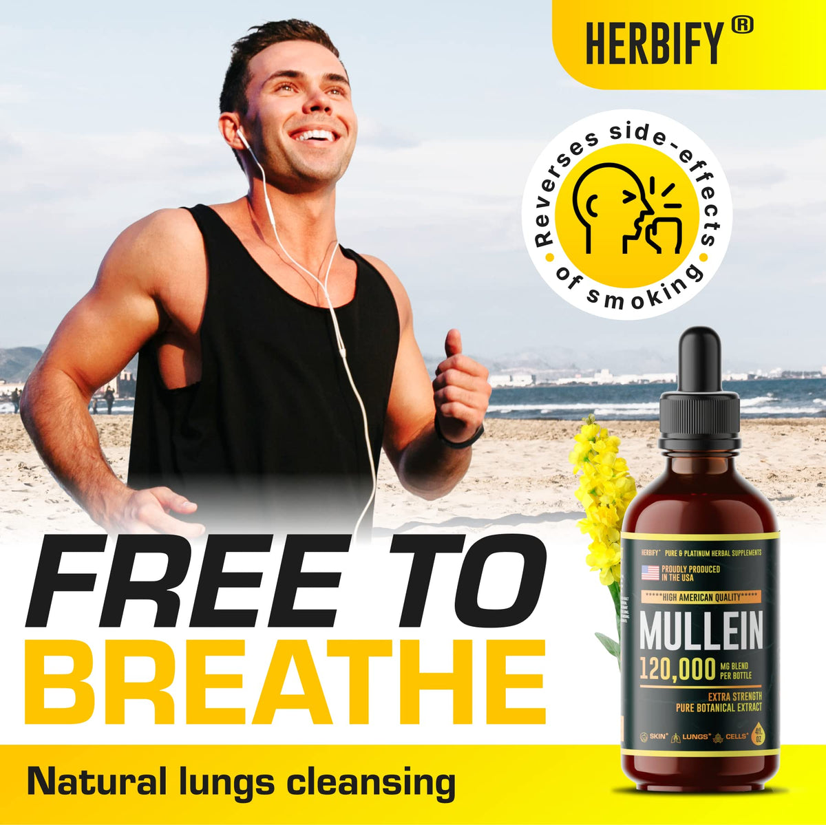 HERBIFY Mullein Drops - Lung Cleanse - Leaf Extract - Powerful Mullein for Immune Supp
