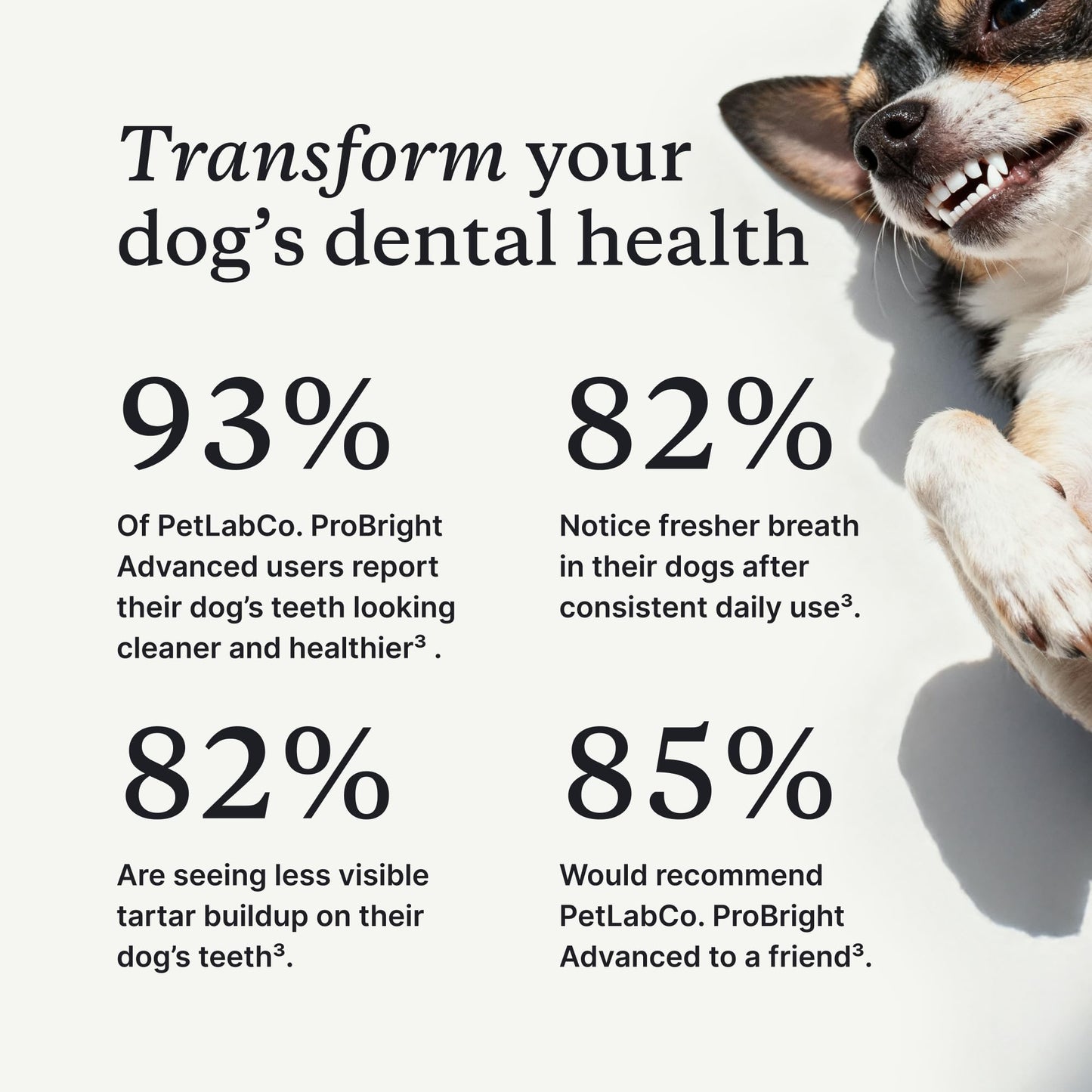 PetLab Co. ProBright Advanced Dental Powder, Small Dogs, 30 Scoops | Three-Time Award-Winning* formula shown to support tartar reduction and fresh breath in 28 days, One scoop daily