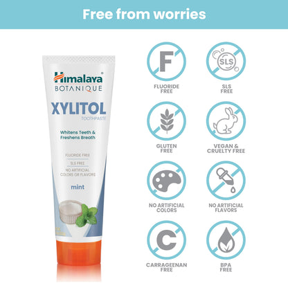 Himalaya Botanique Xylitol Fluoride-Free Toothpaste, Mint Flavor, 4 oz