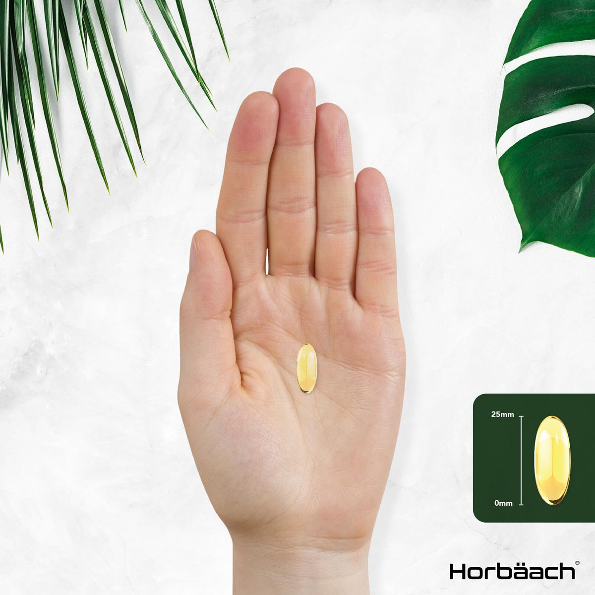 Triple Omega 3 6 9 Capsules | 180 Count | High Strength Supplement with DHA