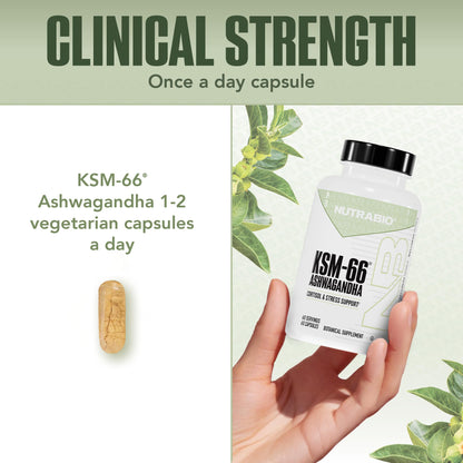 NutraBio Ashwagandha KSM-66 | Ashwagandha Herbal Supplement for Stress, Mood, & Performance | 600 MG of Clinically Studied KSM66 60 Capsules