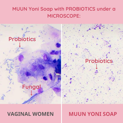 Muun Yoni Soap Bar - Pack 3 Ph Balance Probiotics & Natural Ingredients - Gentle Cleansing Formula