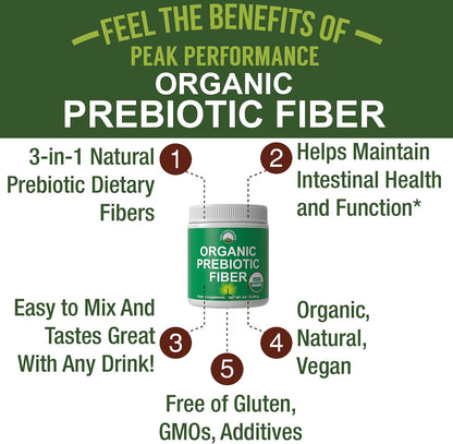 USDA Organic Prebiotic Fiber 3-in-1 Vegan Powder for Gut Health - Raw Whole Food Plant Based Prebiotics Digestive Supplement with Inulin (Jerusalem Artichoke), Acacia Fibers, SunFiber 240g