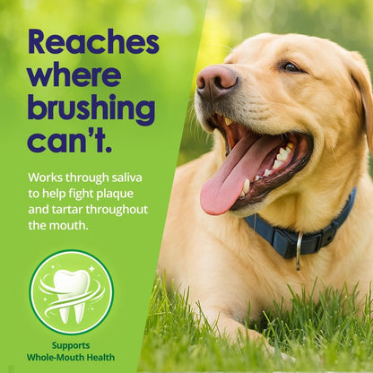 Dog Teeth Cleaning Powder, Dog Plaque and Tartar Remover, Bad Breath Treatment for Dogs with USDA Organic Sea Kelp Powder, Dog Dental Care Made Easy, for All Ages, 6oz