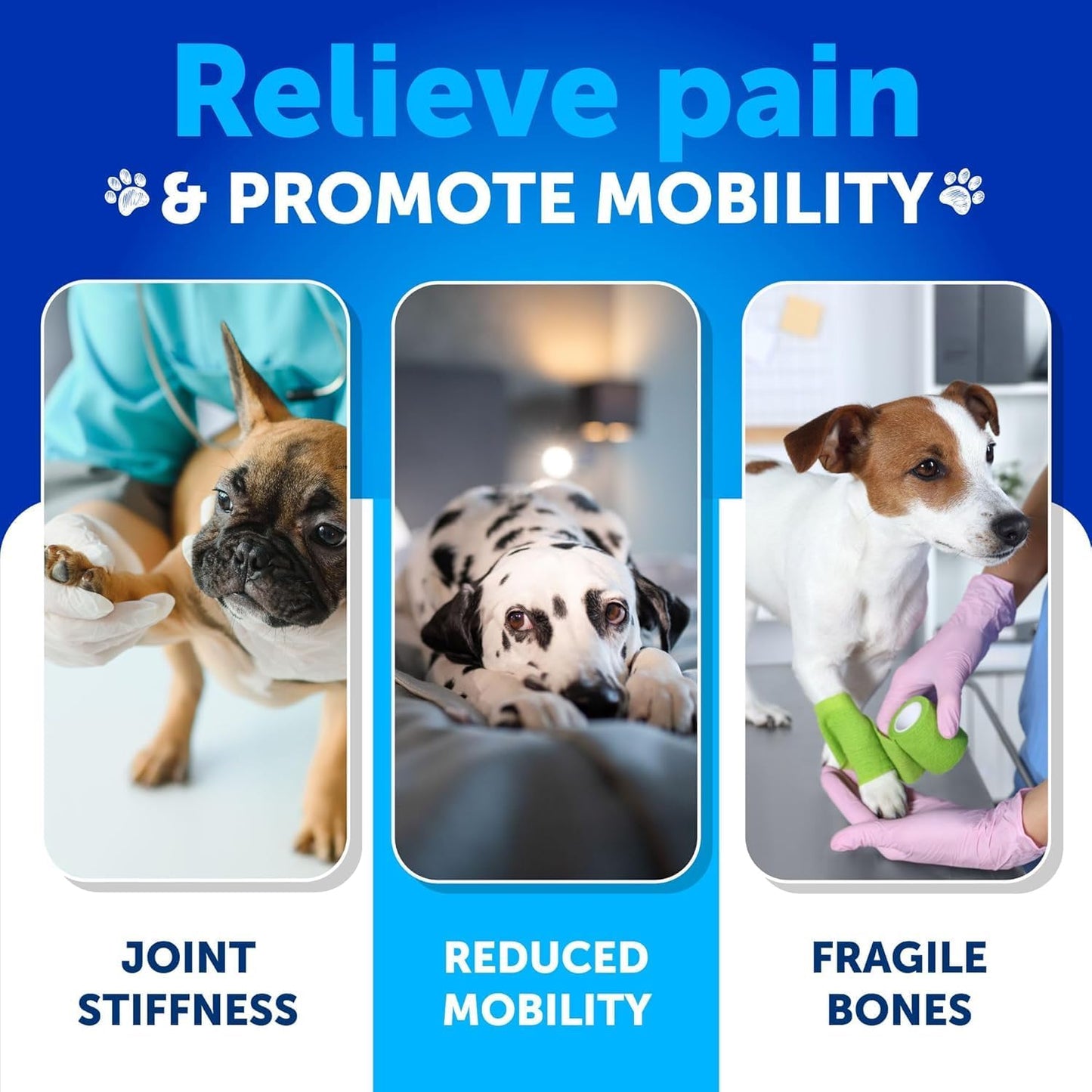 Probiotic Chews for Dogs - Supplement Bundle - Gut Health, Immunity, Yeast Balance - Glucosamine, Chondroitin, MSM