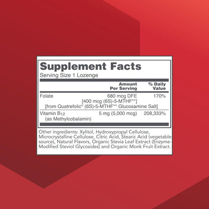 PROTOCOL FOR LIFE BALANCE Methyl B12 5,000 mcg, Brain Health*, 60 Lozenges | Vitamin B12 for Homocysteine Metabolism*, Support Brain Health and Health Nervous System*, Kosher, Halal, and Vegan