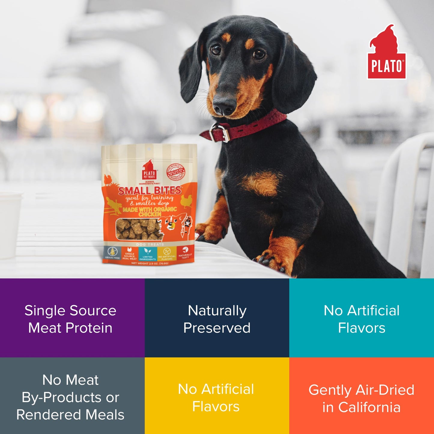 PLATO Pet Treats Small Bites - Air-Dried Training Treats for Dogs - Supports Healthy Digestion - Limited Ingredients - Organic Chicken 6oz - 2 Pack