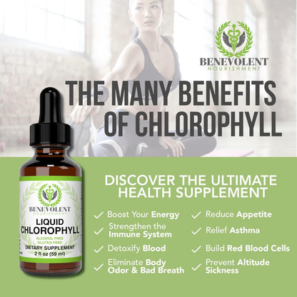 Liquid Melatonin for Kids and Adults 3mg & Liquid Chlorophyll Bundle - Natural Sleep Aid Drops, Berry Vanilla Flavor, Made in USA - Sleep Support & Skin Support