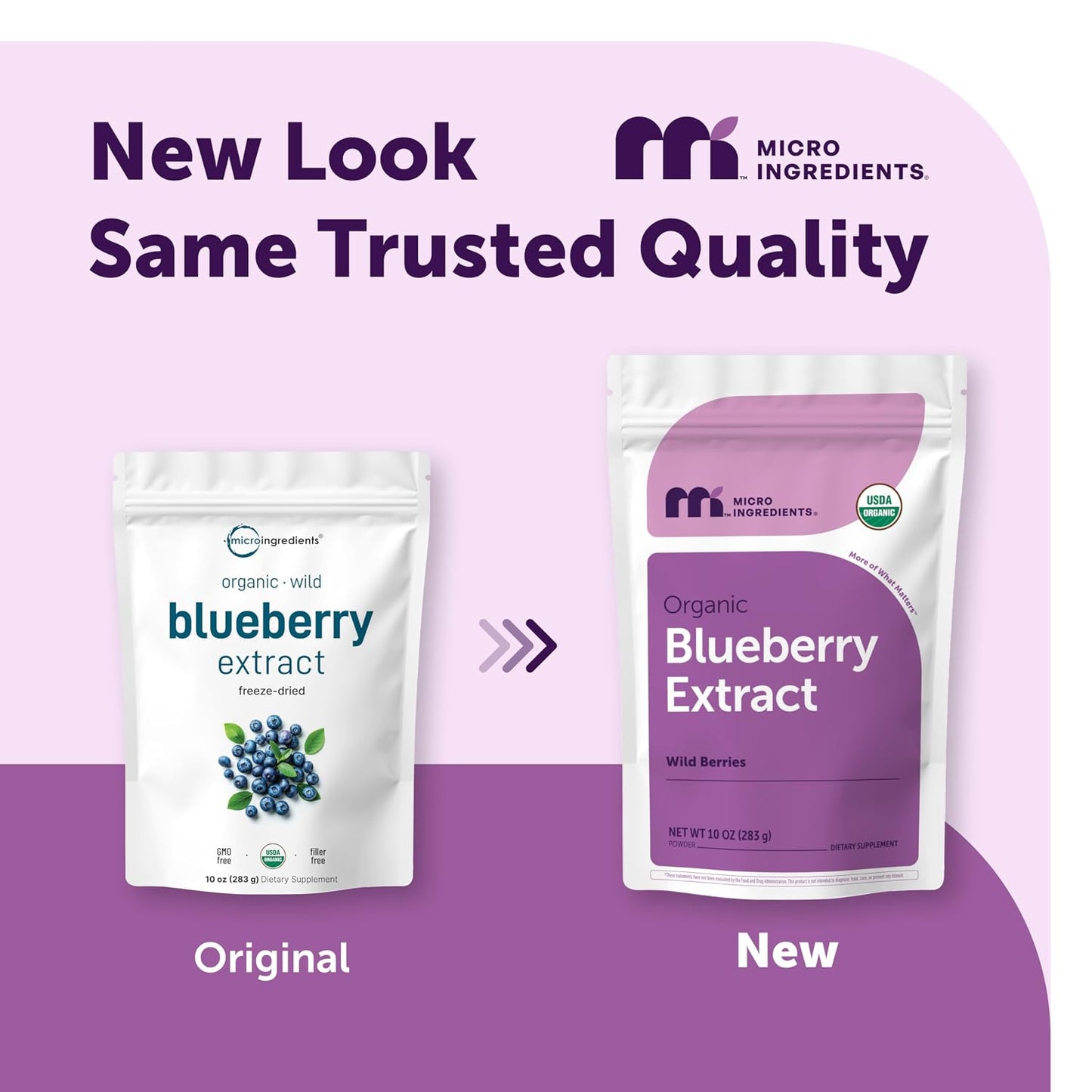 Micro Ingredients Organic Blueberry Extract Powder, 10oz | Natural Fruit Flavor | Freeze-Dried Wild Blueberries Source | No Sugar & Additives | Great for Drinks, Smoothie, & Beverages | Non-GMO & Vegan