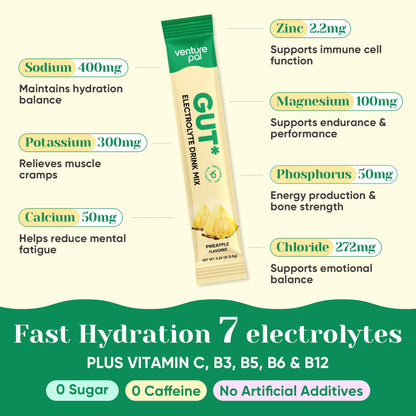 Venture Pal Sugar Free Hydration Packets + Gut Health Electrolytes Powder | Liquid Daily IV with 7 Electrolytes, 5 Vitamins, Probiotics & Fiber for Dehydration Relief and Gut Health Support