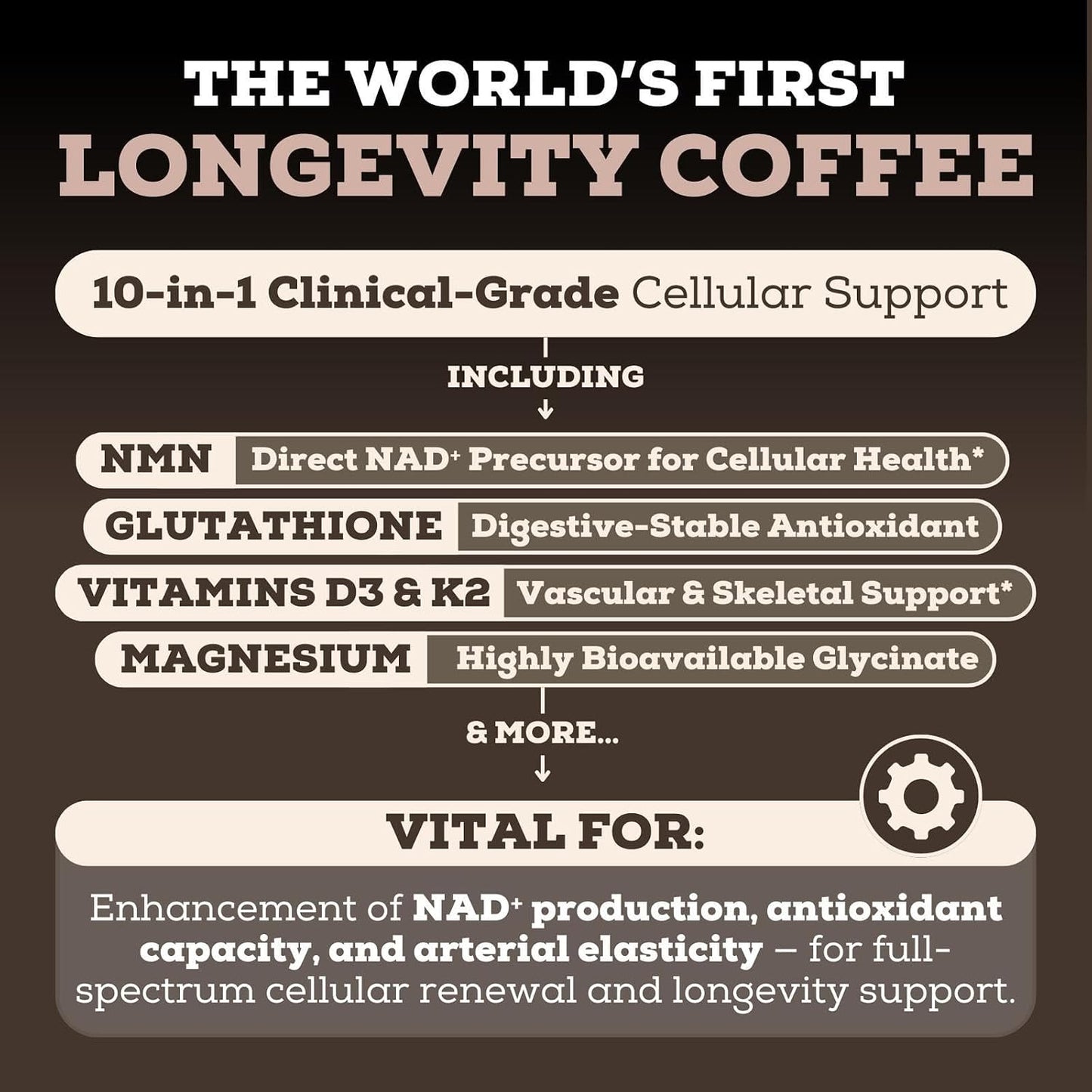 Black Forest Longevity Mix Liquid NAD+ Alternative Mocha Coffee 10-in-1 with NMN 250mg, Glutathione 250mg, TMG, Magnesium Glycinate, Vitamins D3 K2 C B12, High Polyphenol Cocoa, 30 Servings