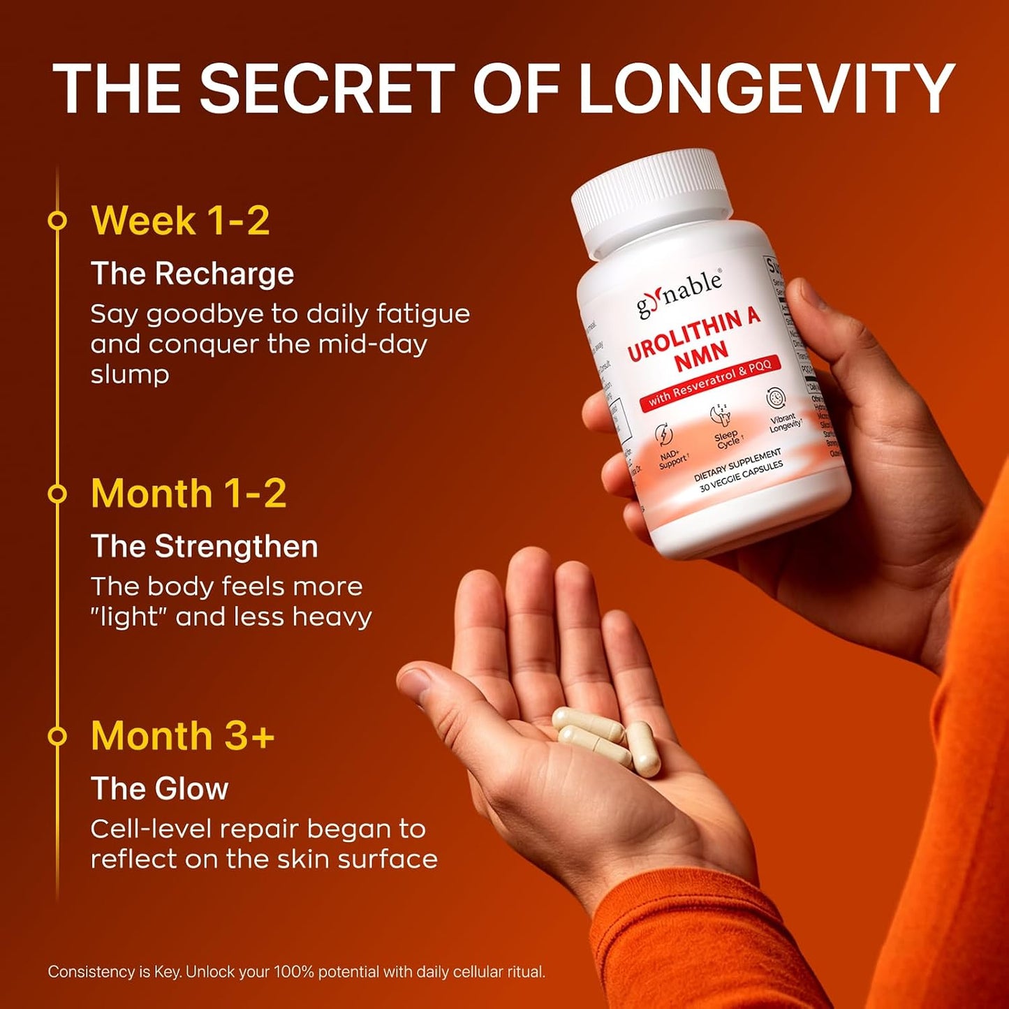 Gynable 4-in-1 Urolithin A Supplement with NMN, Trans-Resveratrol & PQQ-Advanced Cellular Energy & Muscle Strength Complex - Supports Longevity, Deep Sleep & Healthy Aging (30Count(Pack of 1))