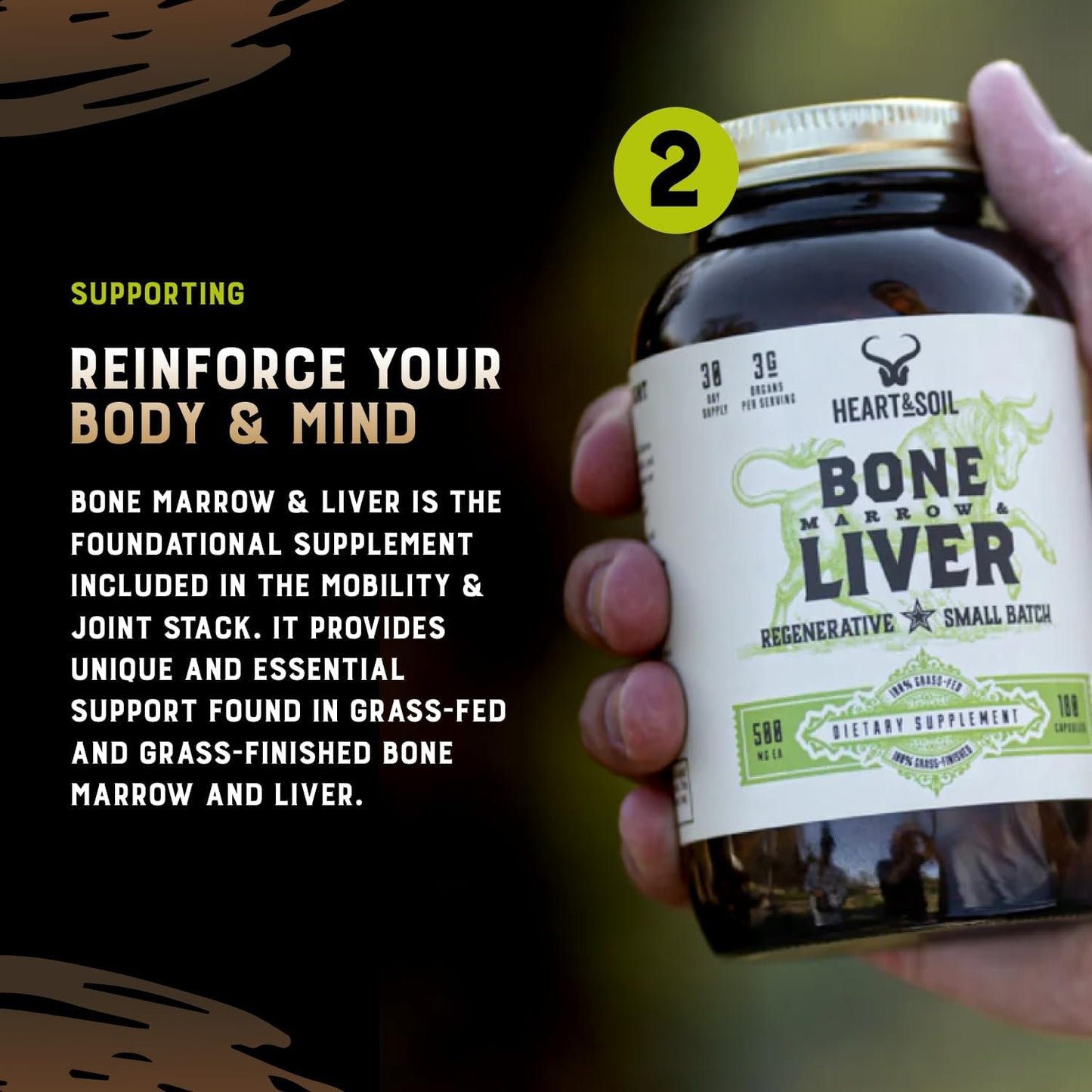 Stress Stack – Mood, Memory, Brain, Bone Marrow, Liver, and Immune Support Supplements for Cognitive and Overall Vitality