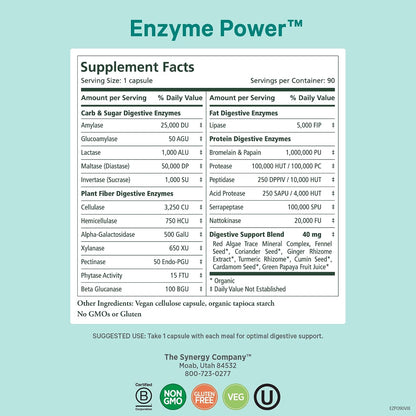 PURE SYNERGY Enzyme Power | Digestive Enzyme Supplement | Digestive Health Enzymes with Nattokinase, Bromelain, and Serrapeptase | for Digestive and Gut Health (90 Capsules)