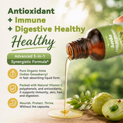 Organic Amla Liquid Drops, Indian Gooseberry Amla Superfruit Extract 1000mg | Advanced 5-in-1 Amla Herbal w. Ashwagandh Turmeric Tulsi for Antioxidant Energy & Digestive Hair Ayurvedic Daily Wellness