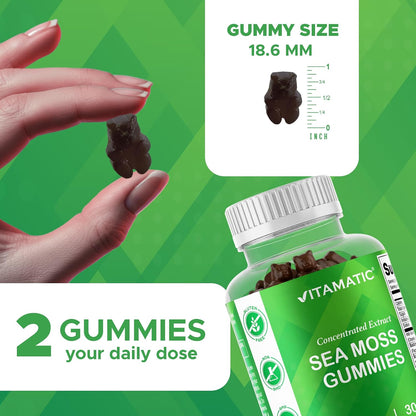 Vitamatic Sea Moss Gummies with Bladderwrack & Burdock, 60 Gummies | Premium Botanical Blend for Immune Support*, Natural Raspberry Flavor, Vegan, Non-GMO, Gluten Free.