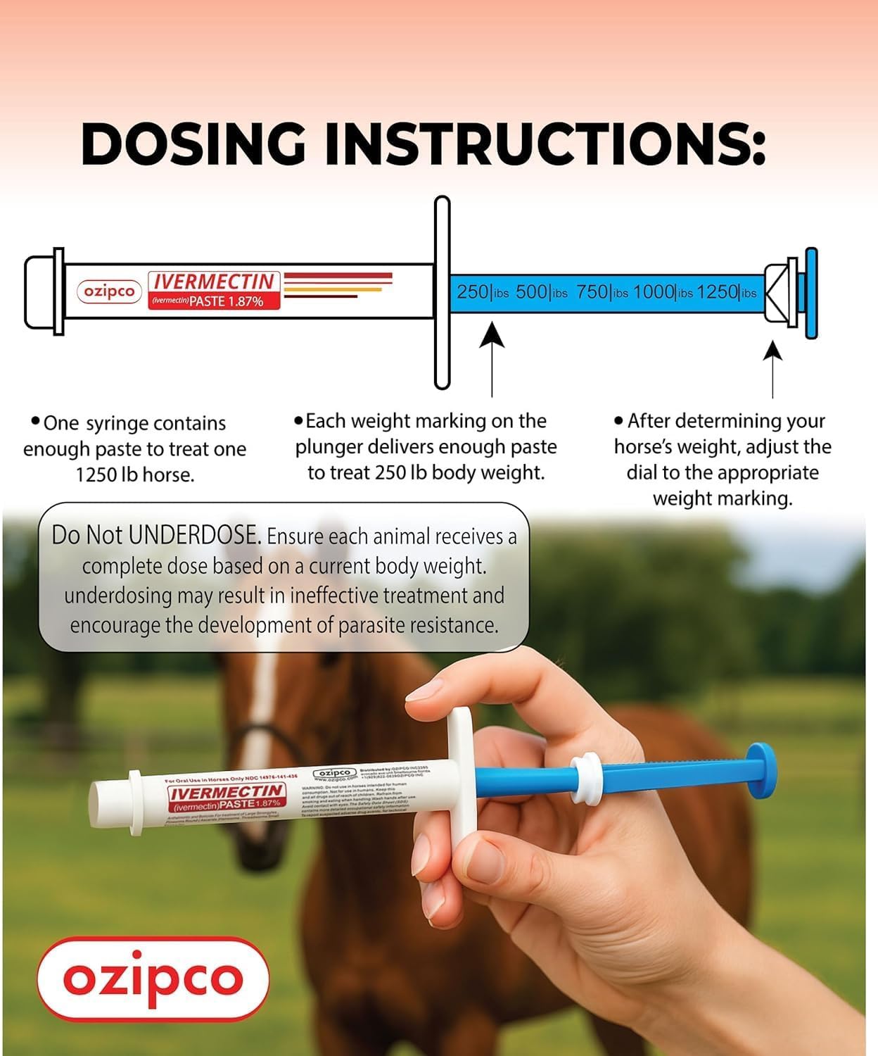 Ivermectin Horse Paste 1.87% | Apple Flavor – 6.08g Syringe for Equine Use Only Up to 1250 LB