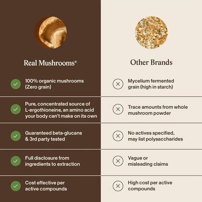 Real Mushrooms Ergothioneine Supplement – Golden Oyster Mushroom with Beta-Glucans – L-Ergothienine Extract Poweder – Organic, Vegan, Non-GMO, No Fillers – 60 Capsules Mushroom Supplement for Humans