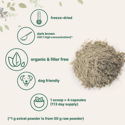 Organic Turkey Tail Mushroom Powder (50:1 Extract), 8 Ounce | Freeze Dried with Active Polysaccharides, Supports Immune Response & Cellular Level, Pet Friendly