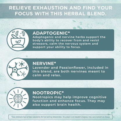 MaryRuth Organics Nootropic Focus Supplement for Adults | USDA Organic | Ginkgo Biloba