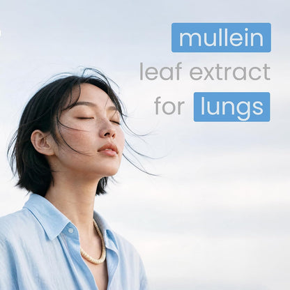 NutraChamps Mullein Leaf Extract for Lung Detox Extra Strength Lung Cleanse for Smokers, Mullein Capsules Lung Support Supplement for Respiratory Lung Health