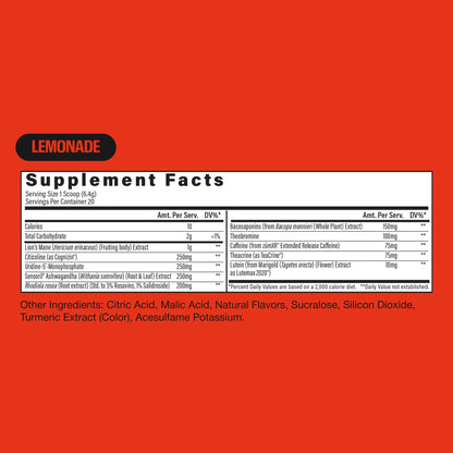 RAW Steady State Low Stim Nootropic Pre Workout Powder for Men & Women - Low Stimulant Neuopathy Supplement for Energy & Focus - No Jitters or Tingles - Natural Extended Release Caffeine - 20 Servings