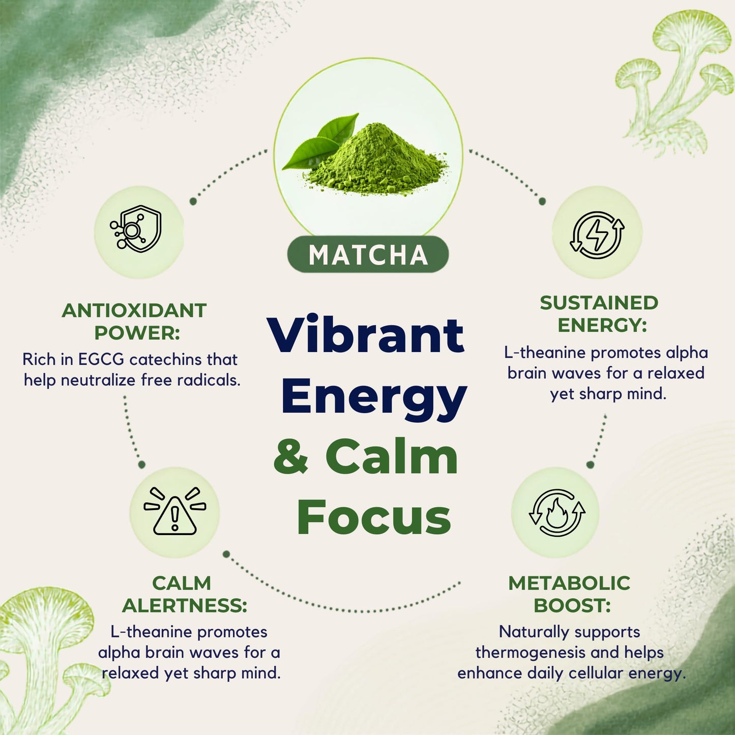 Malama Ceremonial Grade Matcha Powder - Premium Japanese Matcha Green Tea Powder with Organic Lion’s Mane Extract - Organic, Gluten-Free, Vegan, & Unsweetened (2.1 oz) for Energy & Focus