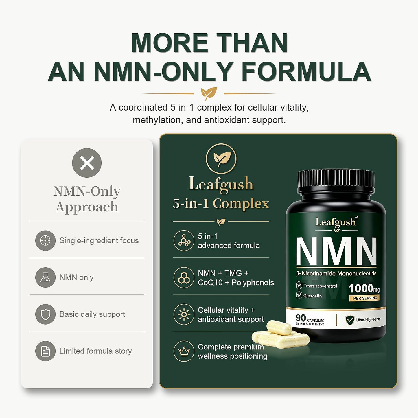 NMN Supplement, NAD+ Precursor Support 1000mg 5-in-1 Complex with 600mg Nicotinamide Mononucleotide and TMG 200mg, Trans-Resveratrol, Quercetin, CoQ10 for Cellular Energy, Antioxidant Support