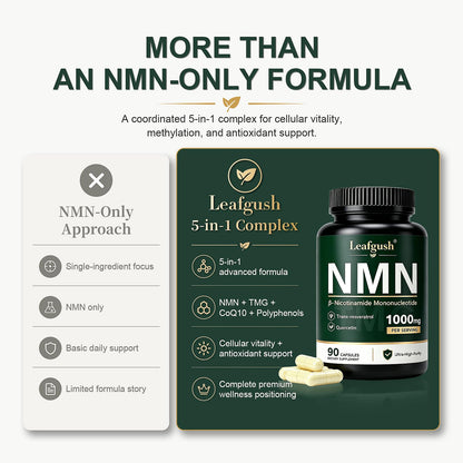 NMN Supplement, NAD+ Precursor Support 1000mg 5-in-1 Complex with 600mg Nicotinamide Mononucleotide and TMG 200mg, Trans-Resveratrol, Quercetin, CoQ10 for Cellular Energy, Antioxidant Support