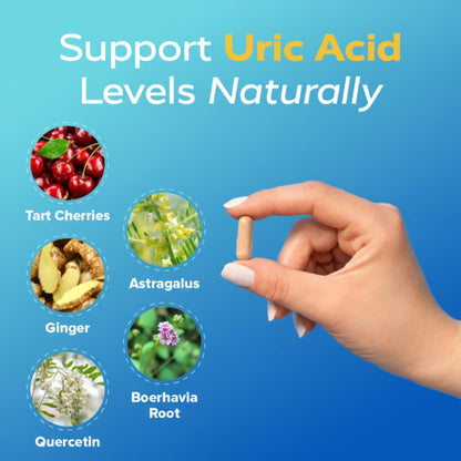Redd Remedies Gouch! | Supplement for Joints, Uric Acid Levels, and Healthy Kidney Function | Tart Cherry, Ginger, Quercetin, & More | 60 Vegan Capsules