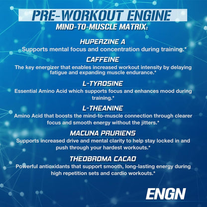 EVL Intense Pre Workout with Creatine - ENGN Energizing Pre Workout for Men Powder Drink for Lasting Energy Focus and Recovery - with Beta Alanine Caffeine and L Theanine - Blue Raz