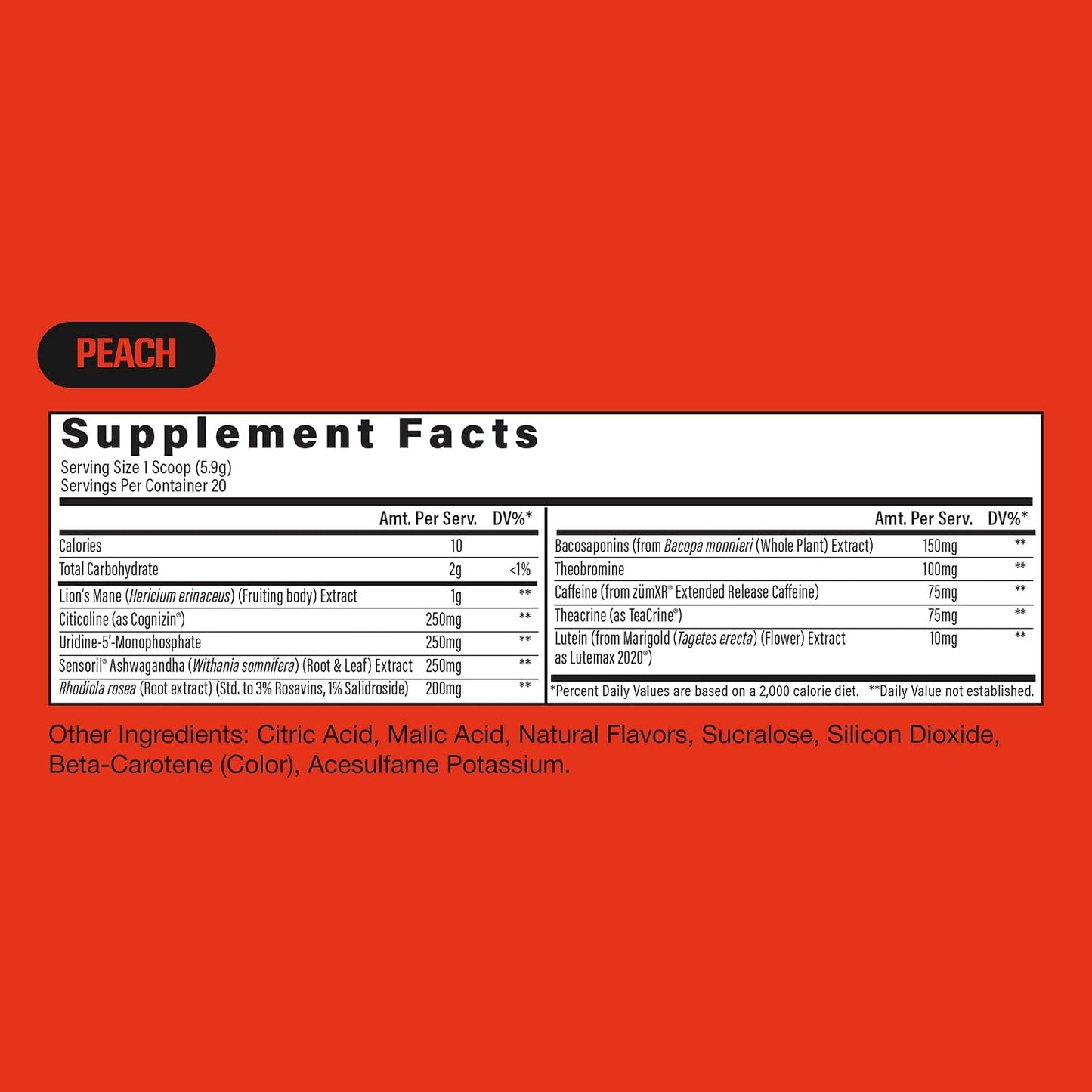 RAW Steady State Low Stim Nootropic Pre Workout Powder for Men & Women - Low Stimulant Neuopathy Supplement for Energy & Focus - No Jitters or Tingles - Natural Extended Release Caffeine - 20 Servings